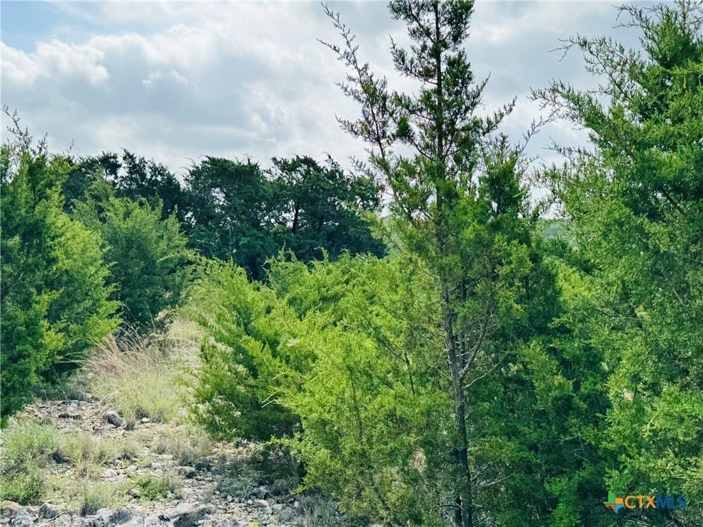 4.48 acres in Coryell County - photo 31