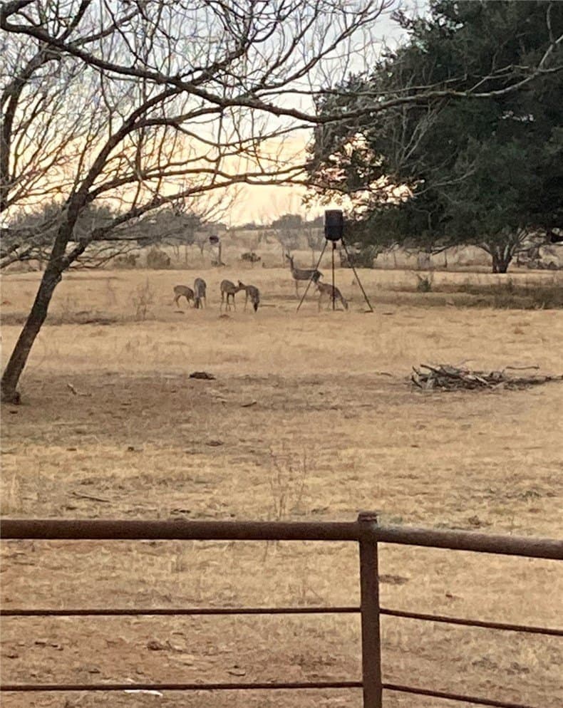72 acres in Atascosa County - photo 24