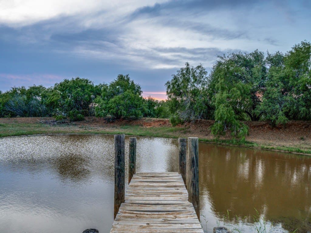 72 acres in Atascosa County - photo 28