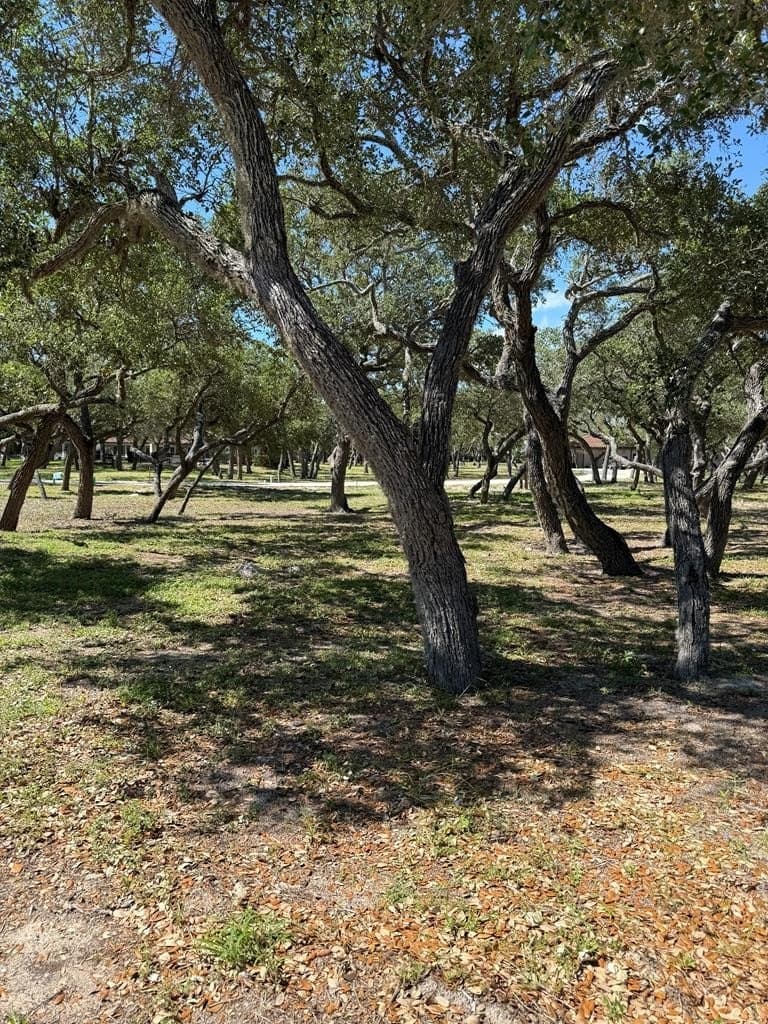 0.14 acres in Texas County