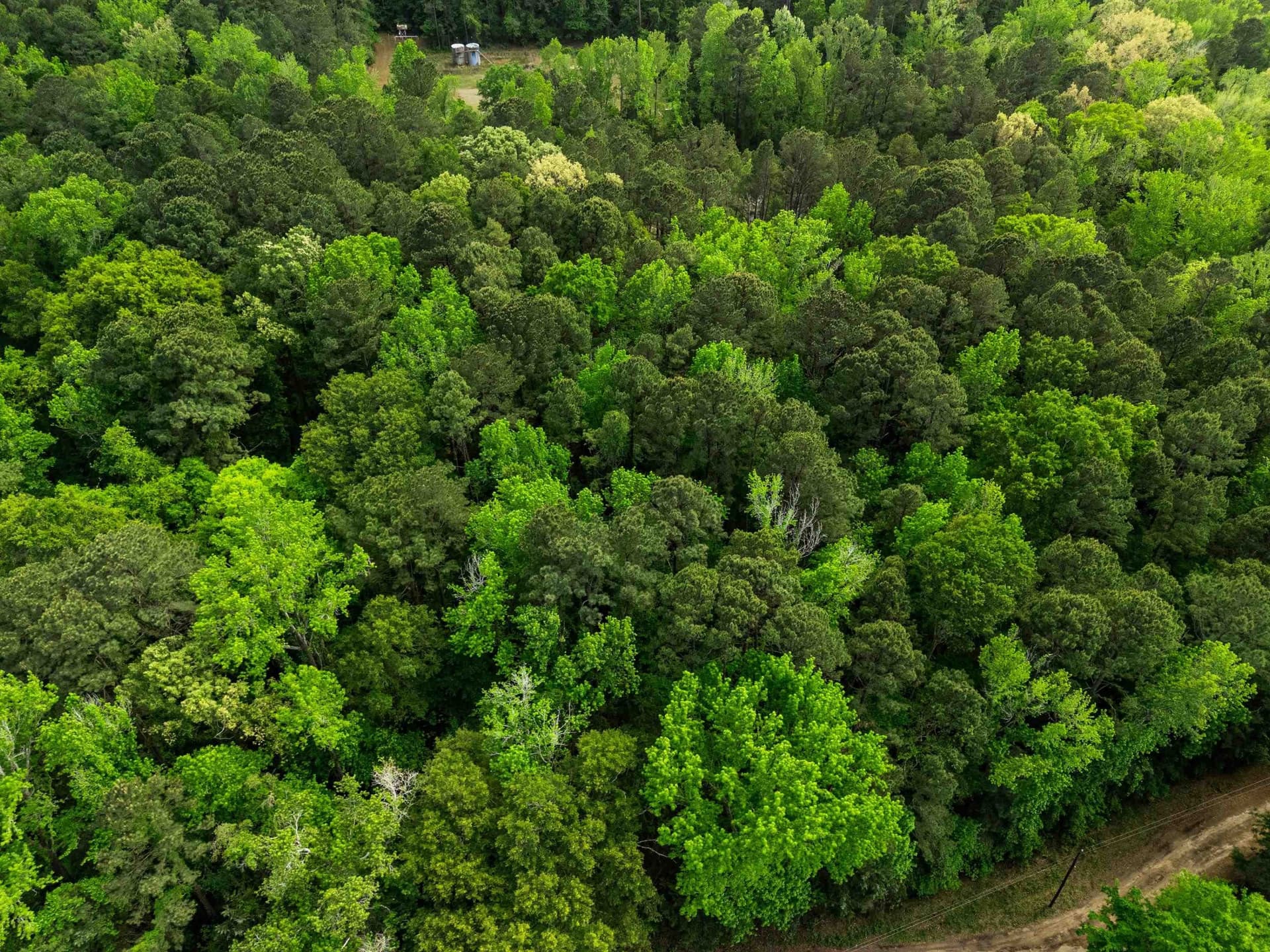 6 acres in Upshur County gallery image 4