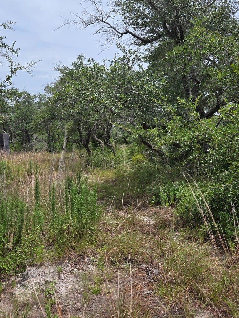21.58 acres in Texas County - photo 8