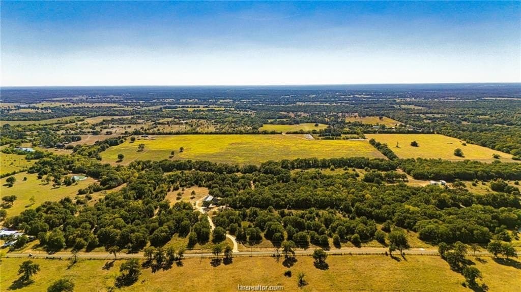 28 acres in Leon County gallery image 3