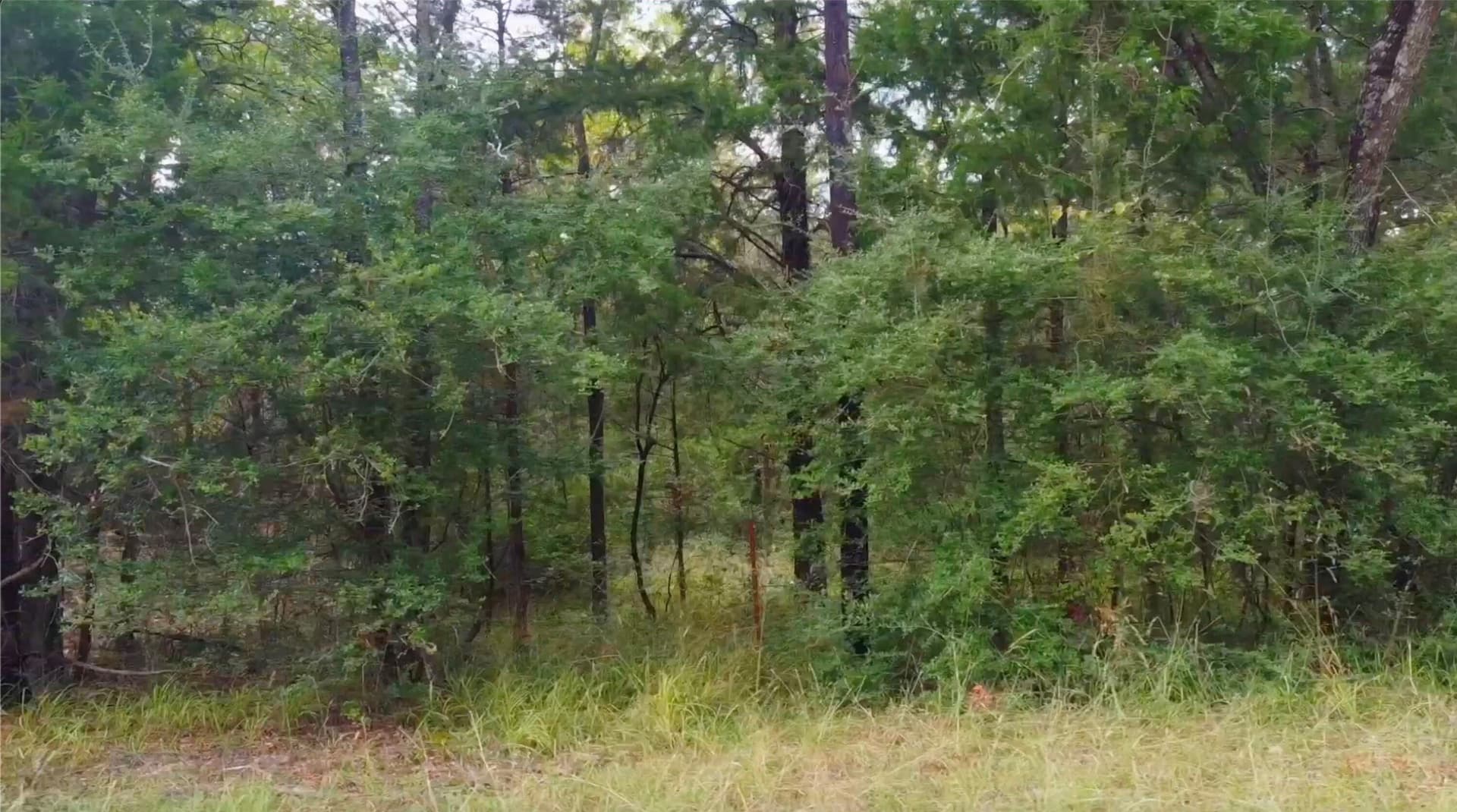 0.47 acres in Limestone County - photo 3