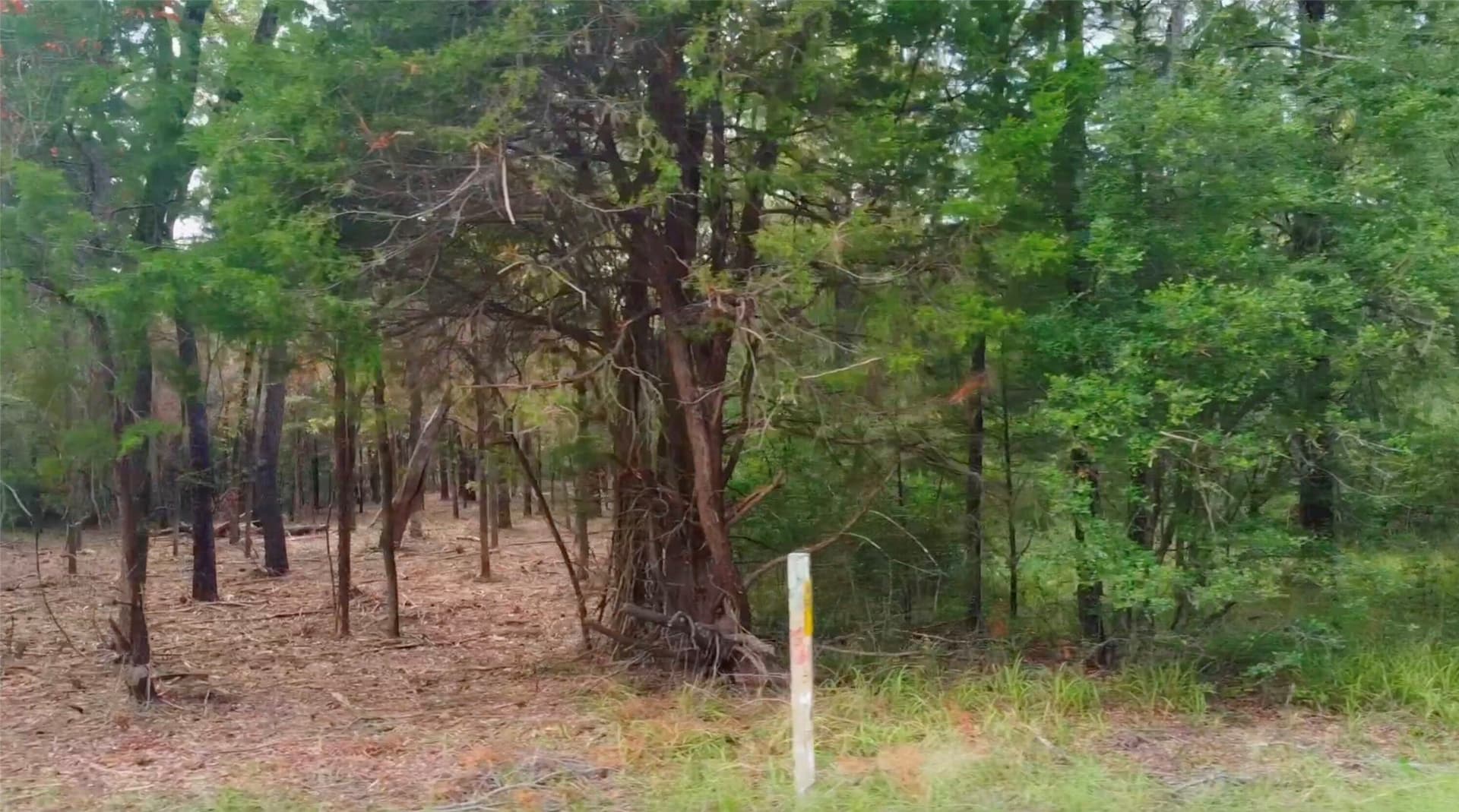 0.47 acres in Limestone County - photo 4