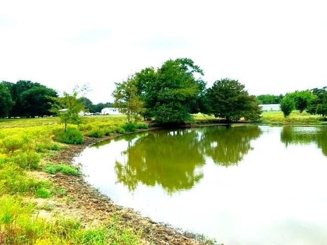 43.69 acres in Fannin County gallery image 4