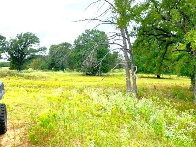 43.69 acres in Fannin County featured view