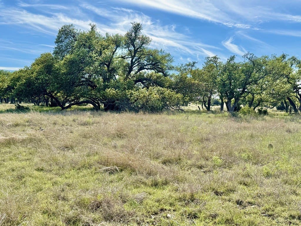 5.1 acres in Gillespie County featured view
