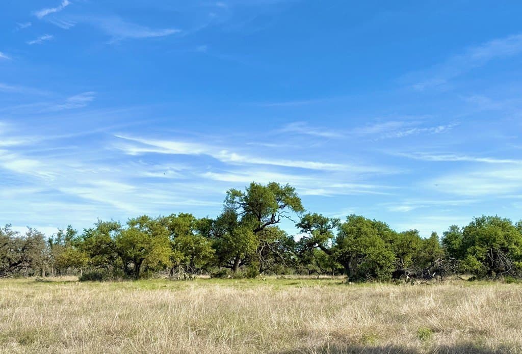 5.1 acres in Gillespie County gallery image 4