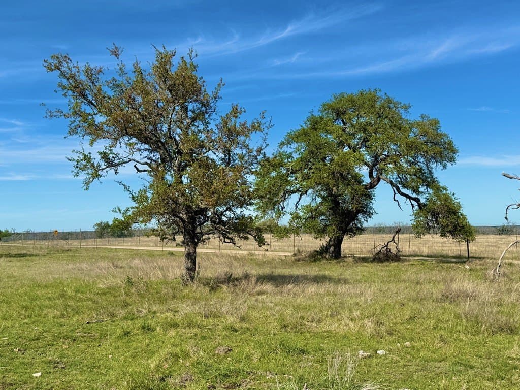 5.1 acres in Gillespie County gallery image 3