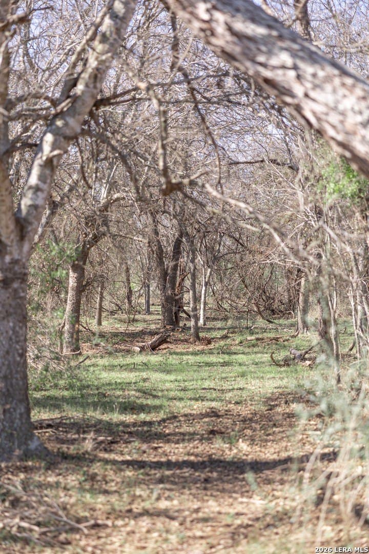 16.33 acres in Bexar County - photo 34