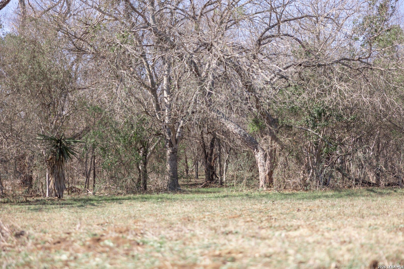 16.33 acres in Bexar County - photo 33