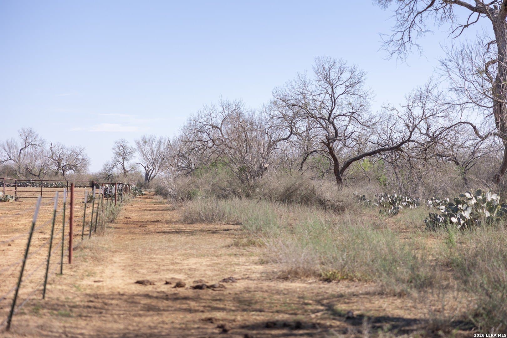 16.33 acres in Bexar County - photo 36