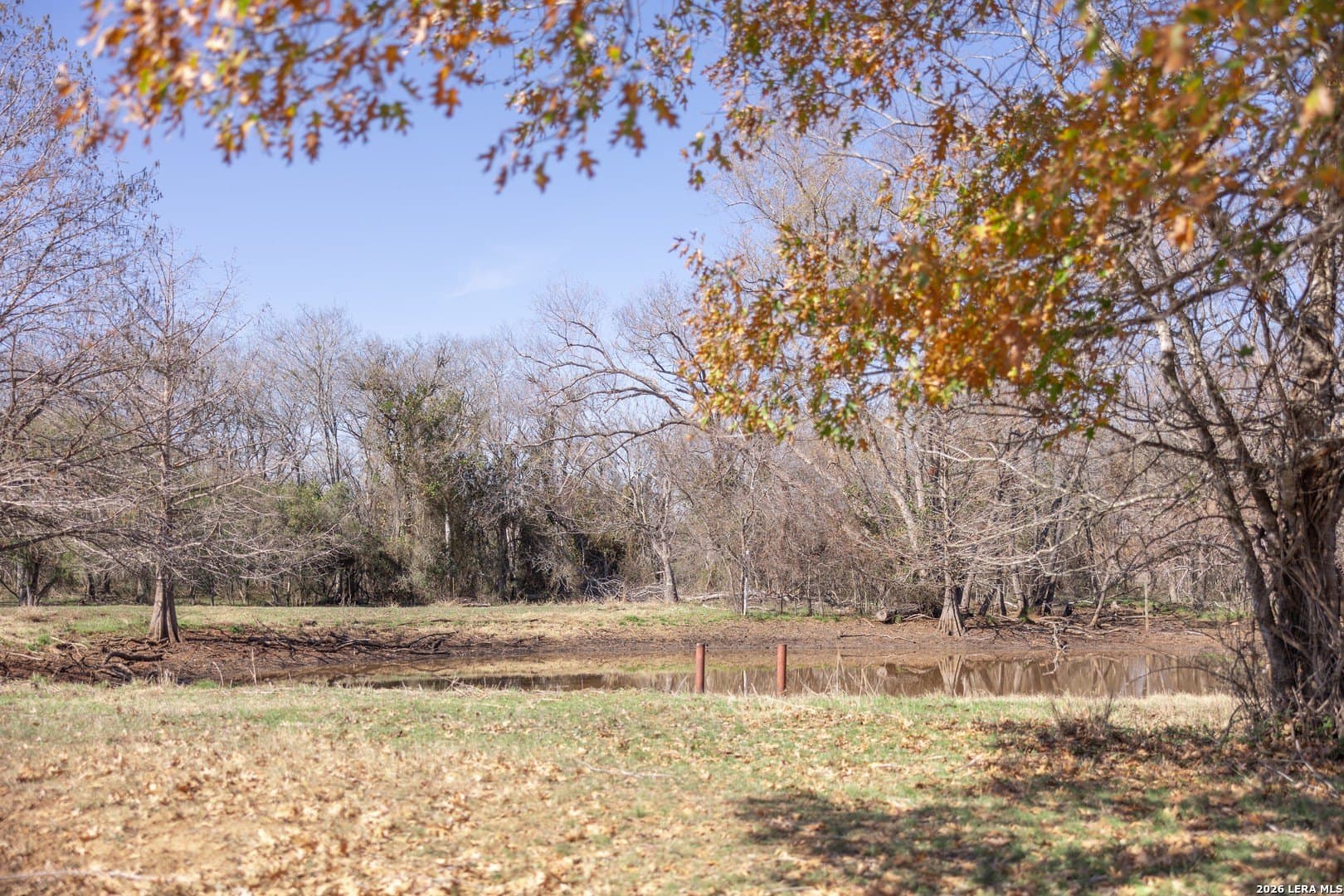 16.33 acres in Bexar County - photo 30