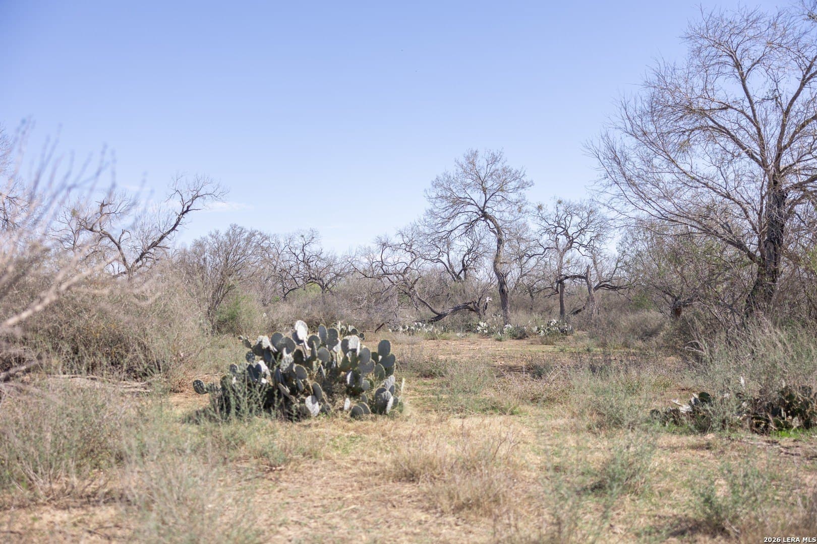 16.33 acres in Bexar County - photo 35