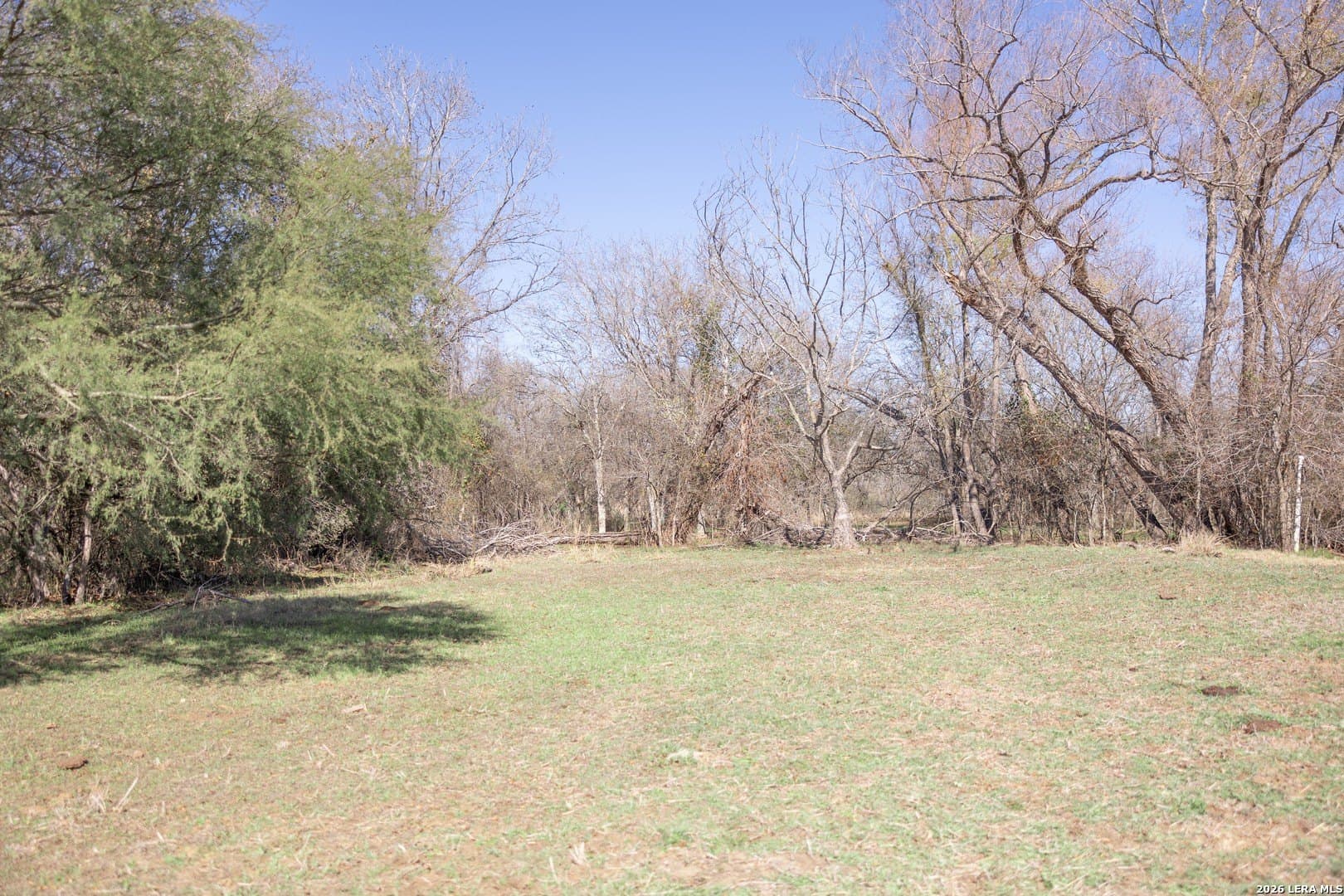 16.33 acres in Bexar County - photo 32