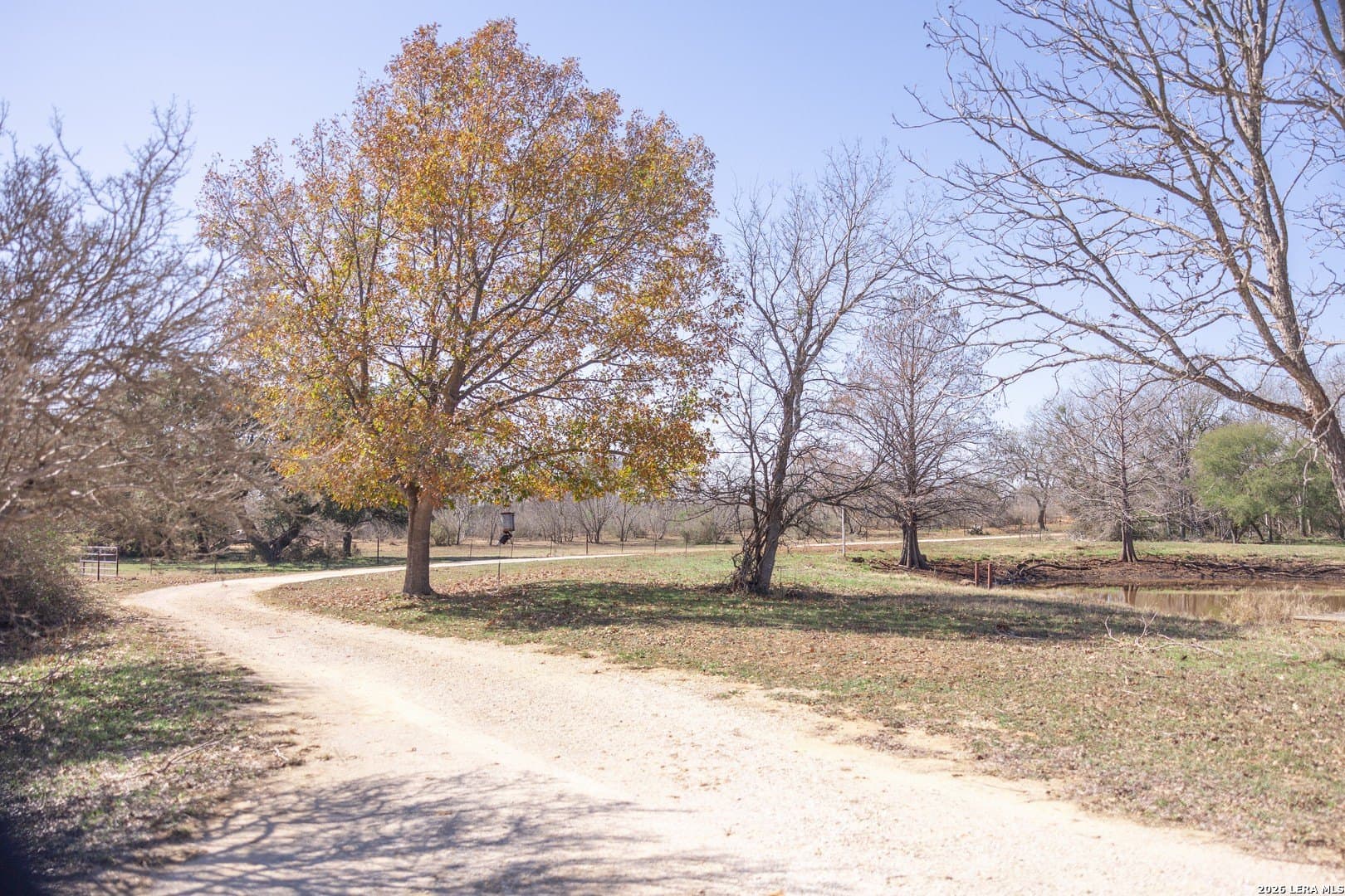 16.33 acres in Bexar County - photo 31