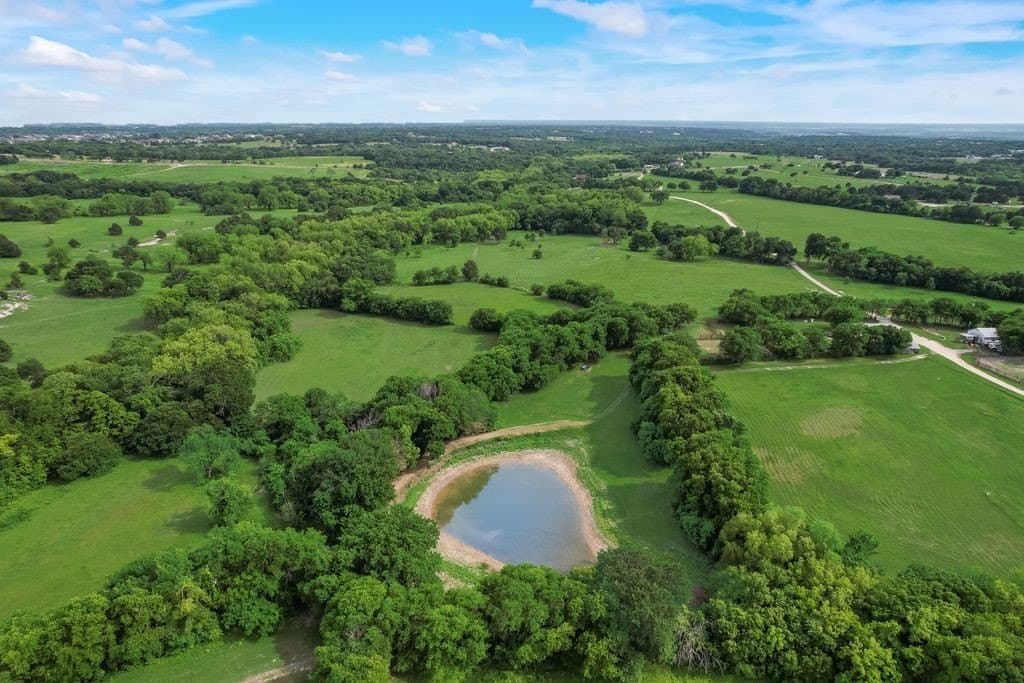 41 acres in Ellis County gallery image 4