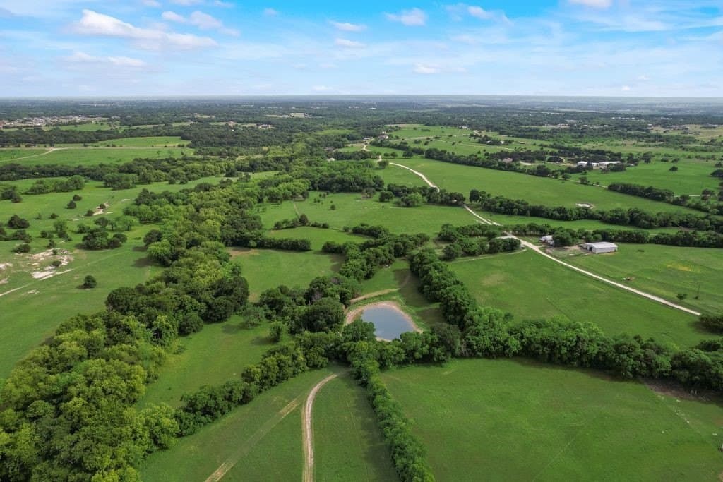 41 acres in Ellis County gallery image 2