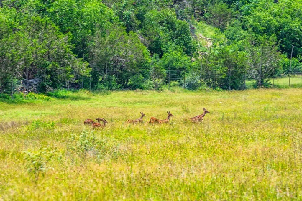342 acres in Kendall County - photo 7