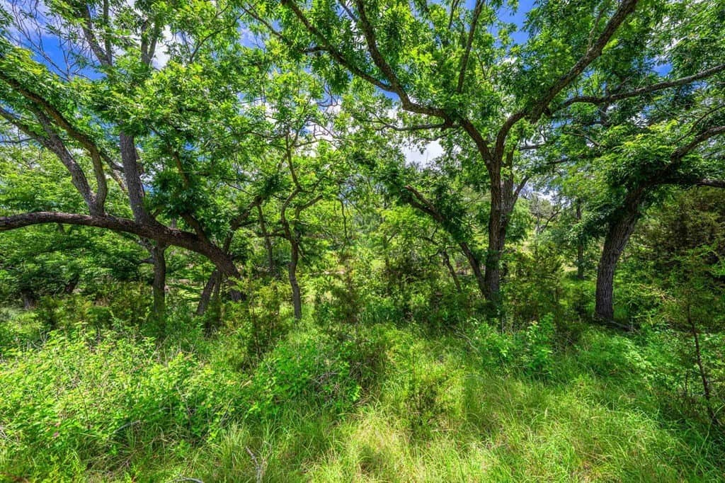 342 acres in Kendall County - photo 21