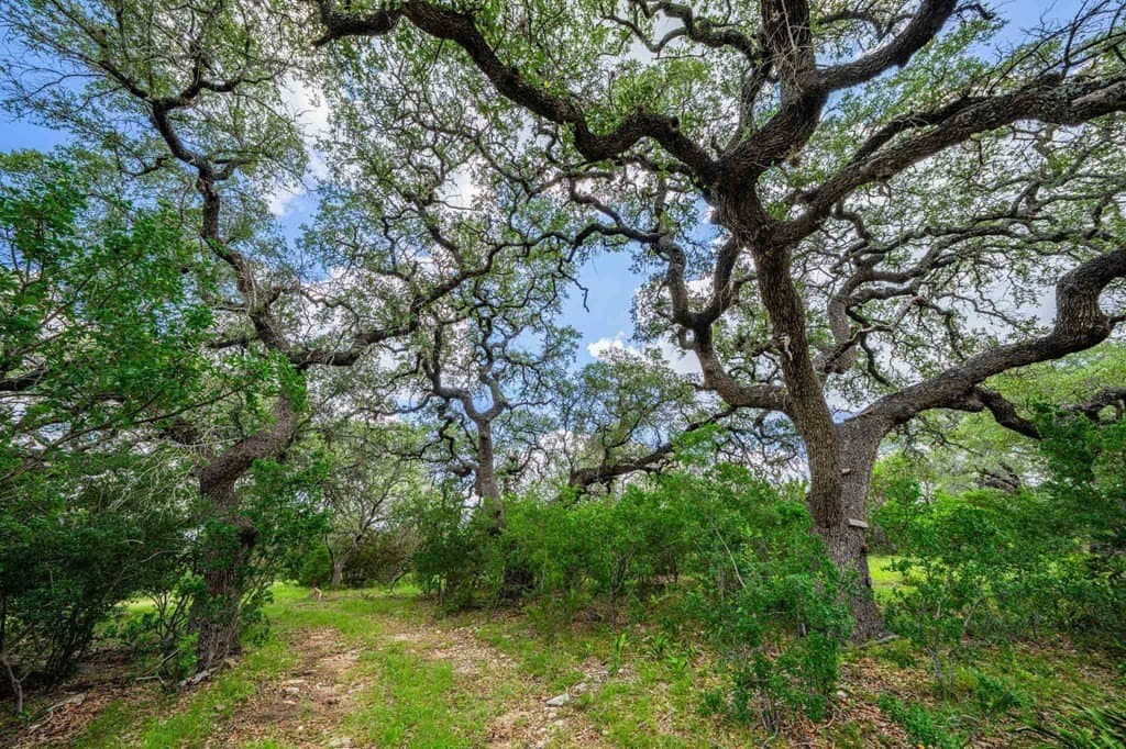 342 acres in Kendall County - photo 24