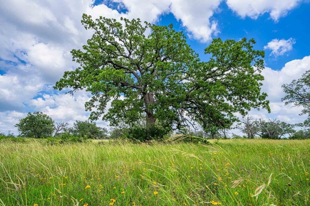 342 acres in Kendall County - photo 34