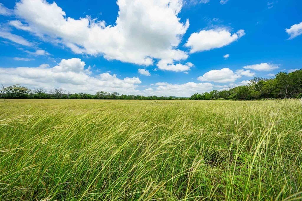 342 acres in Kendall County - photo 10