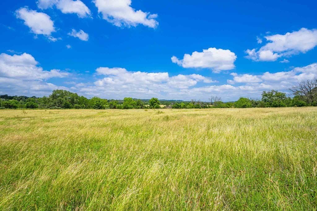 342 acres in Kendall County - photo 6