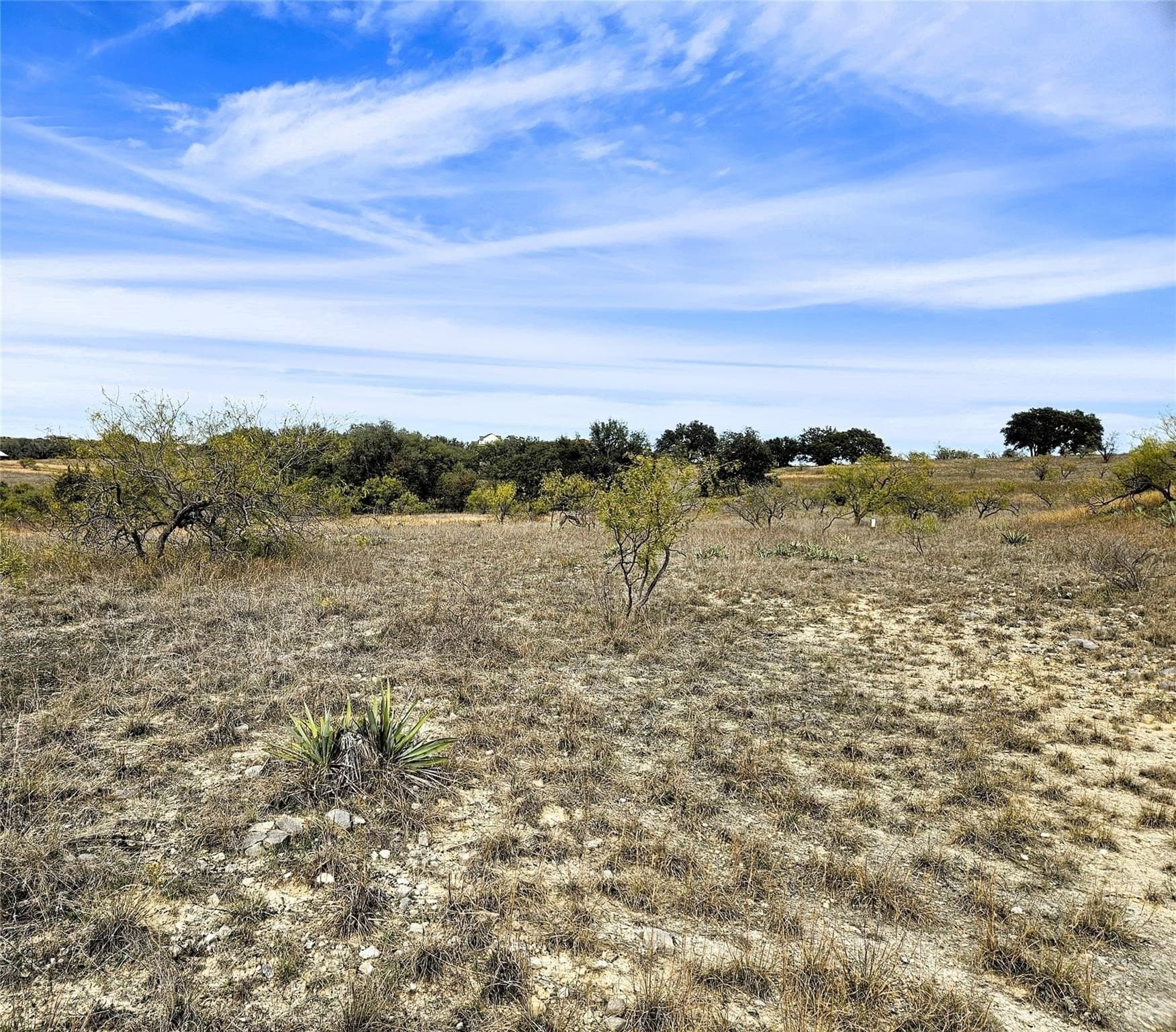8.38 acres in Comanche County gallery image 4