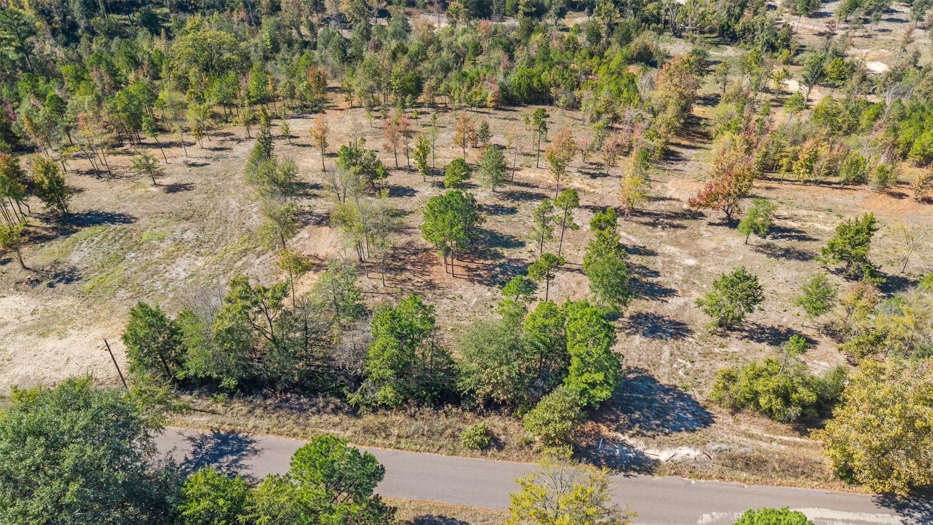 0.69 acres in Smith County - photo 9