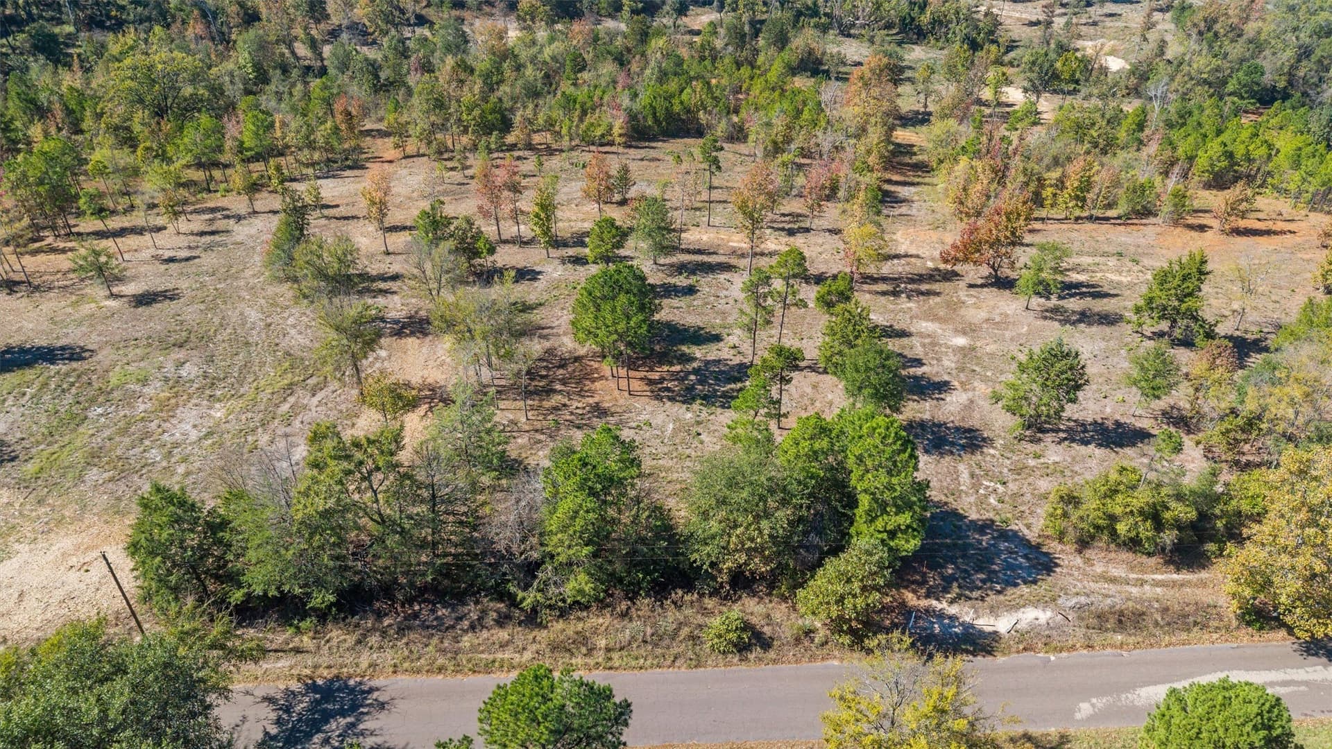 0.69 acres in Smith County - photo 8