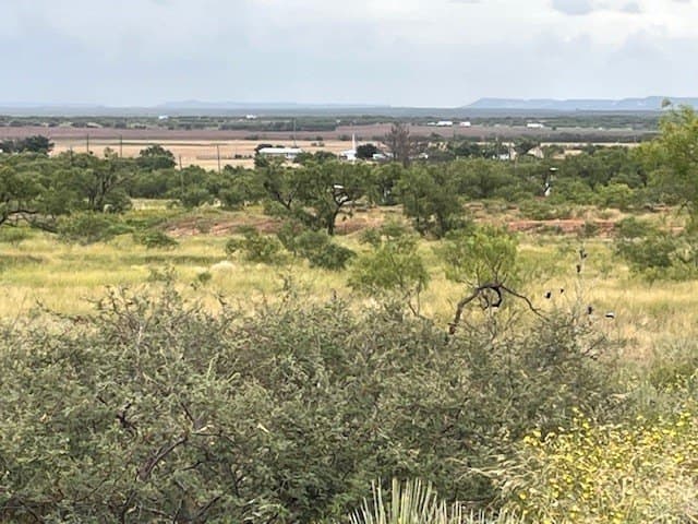 11 acres in Taylor County featured view
