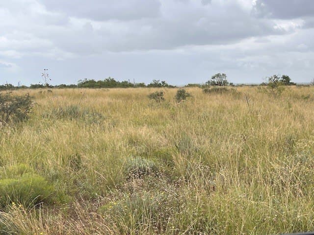11 acres in Taylor County - photo 9