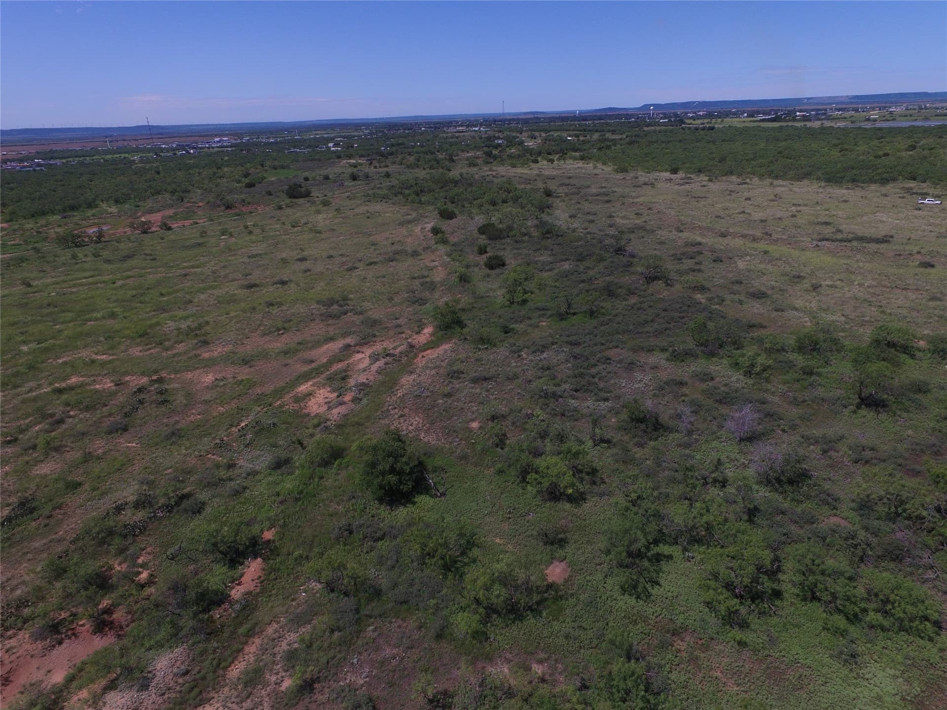 11 acres in Taylor County gallery image 4