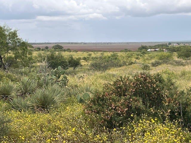 11 acres in Taylor County - photo 6