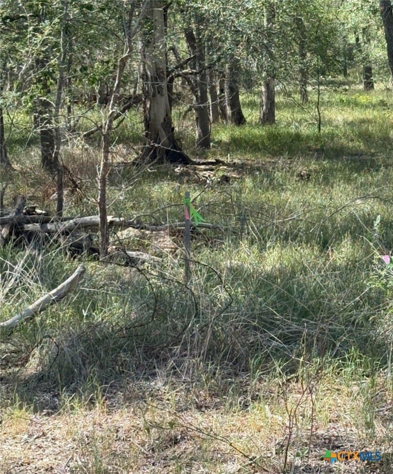 0.32 acres in Wilson County gallery image 3