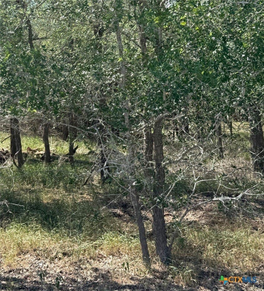 0.32 acres in Wilson County gallery image 4