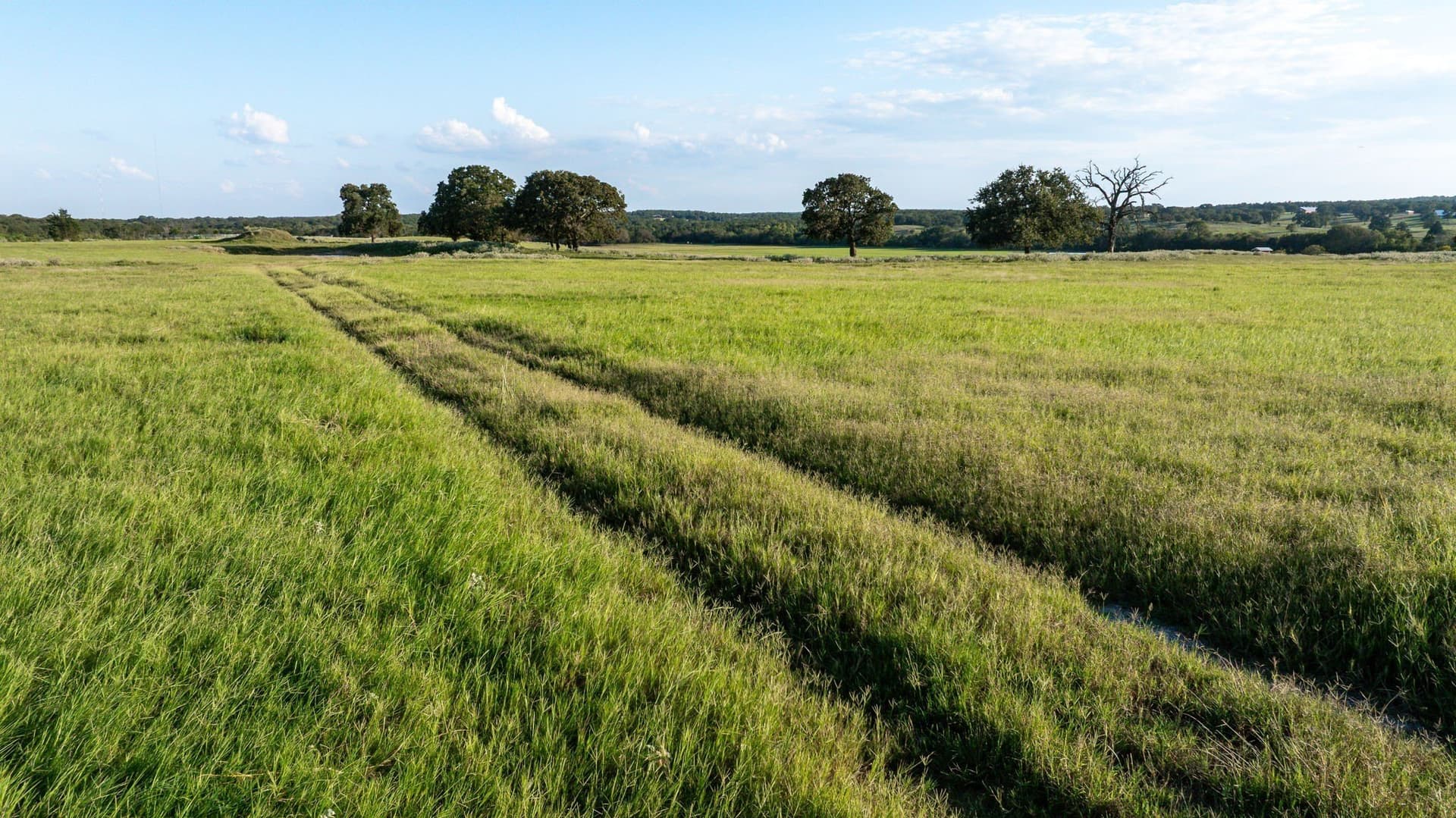 40 acres in Wise County gallery image 3