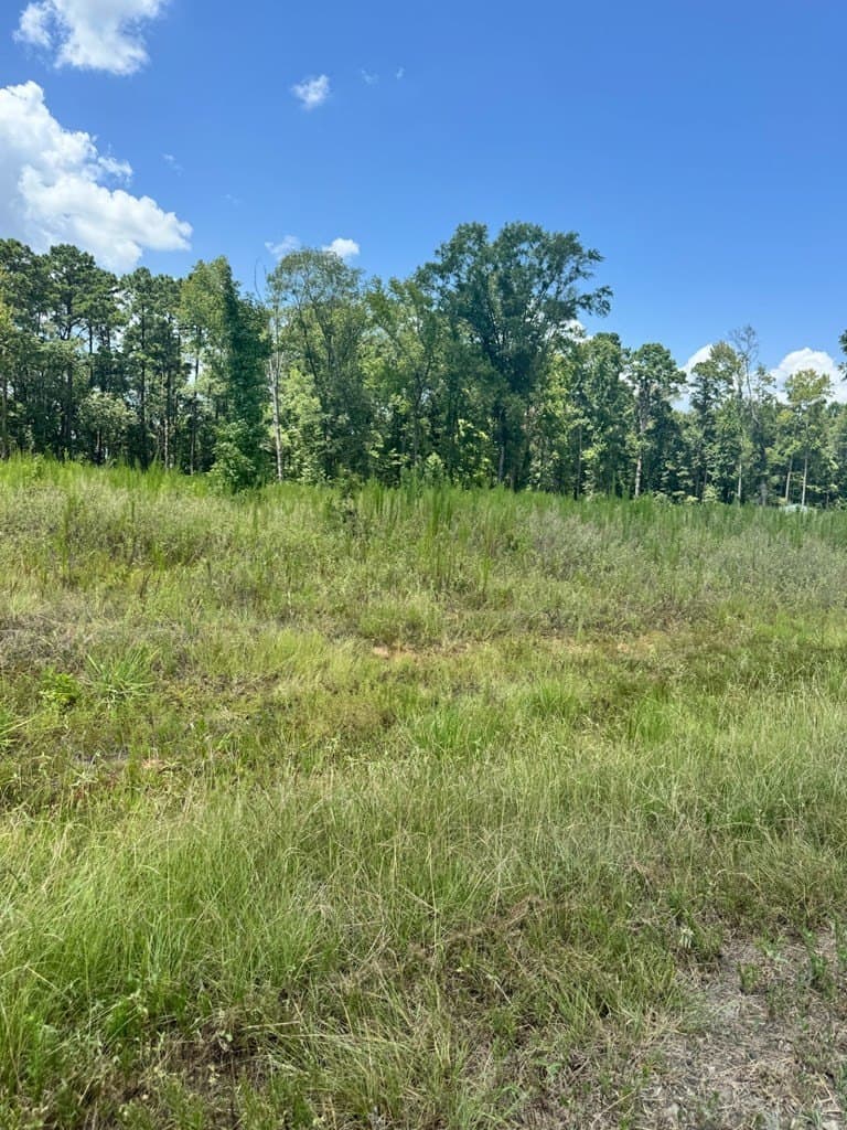1.5 acres in Texas County - photo 5