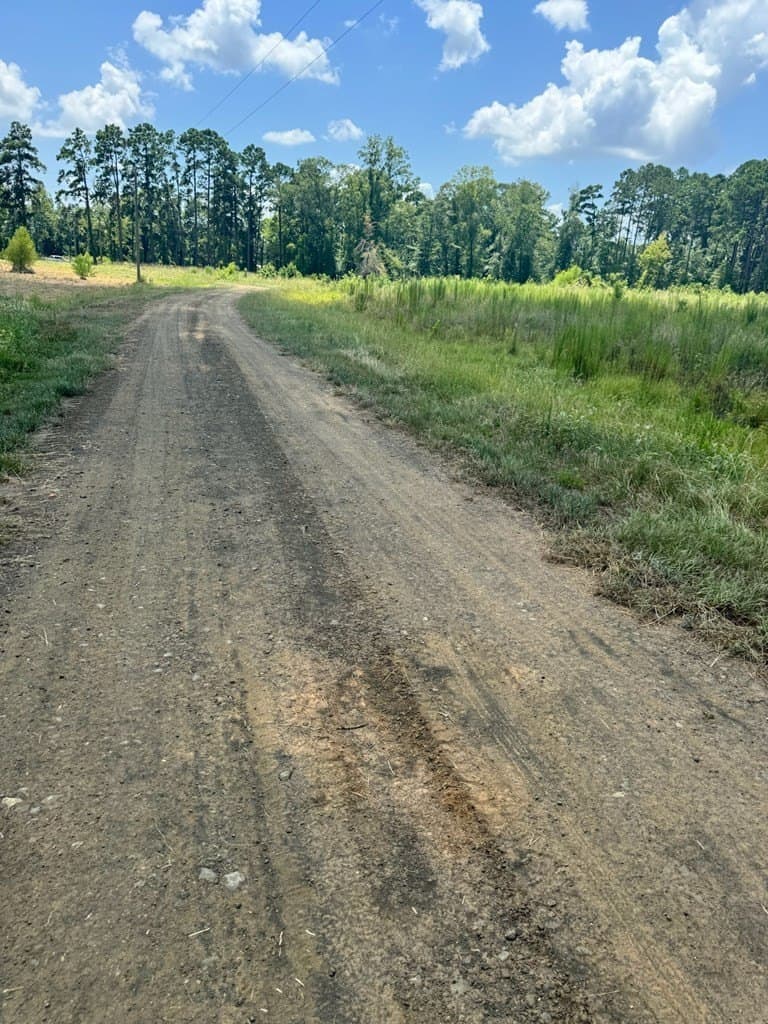 1.5 acres in Texas County - photo 2