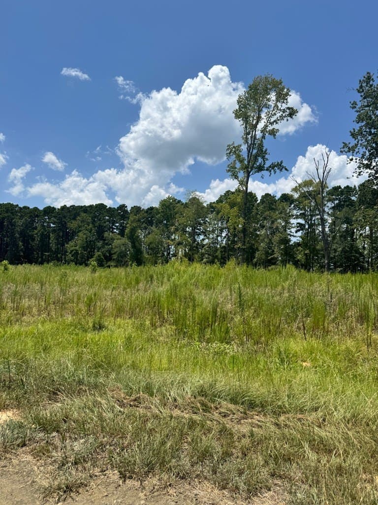 1.5 acres in Texas County - photo 7