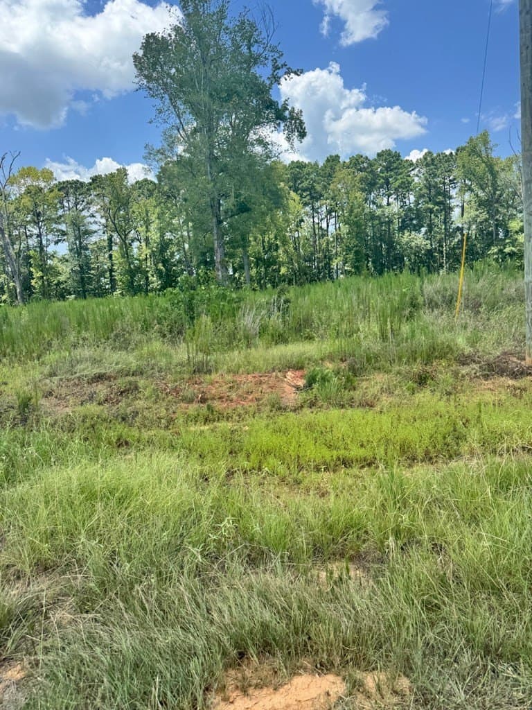 1.5 acres in Texas County - photo 4