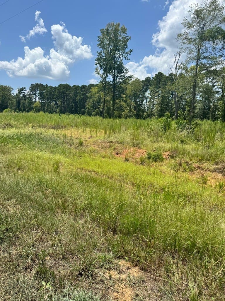 1.5 acres in Texas County - photo 6