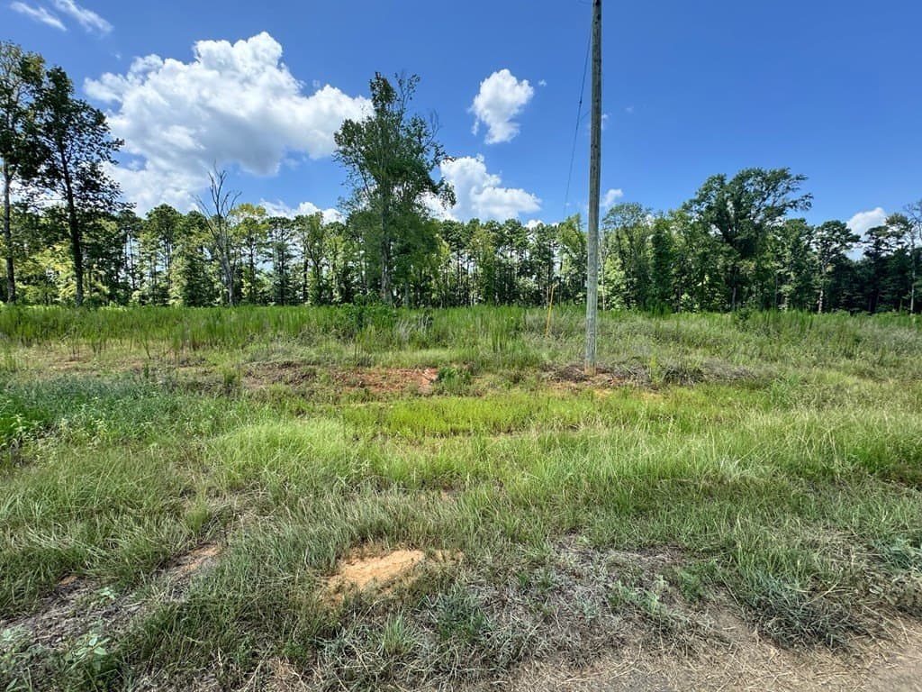 1.5 acres in Texas County - photo 3