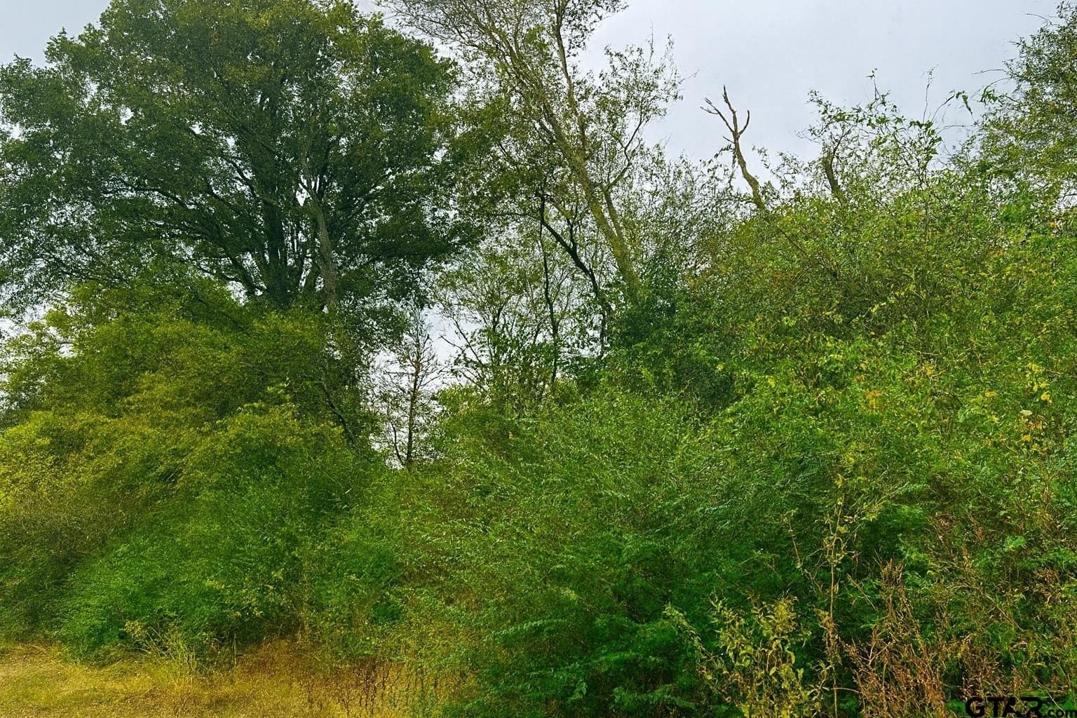 20.83 acres in Van Zandt County - photo 4