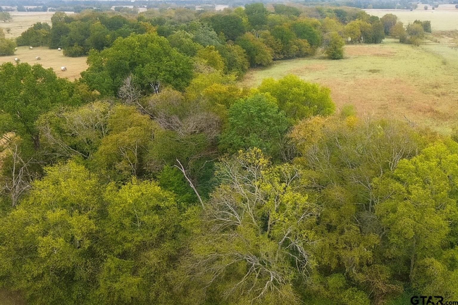 20.83 acres in Van Zandt County - photo 7