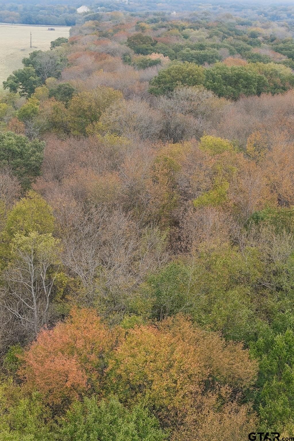 20.83 acres in Van Zandt County - photo 8