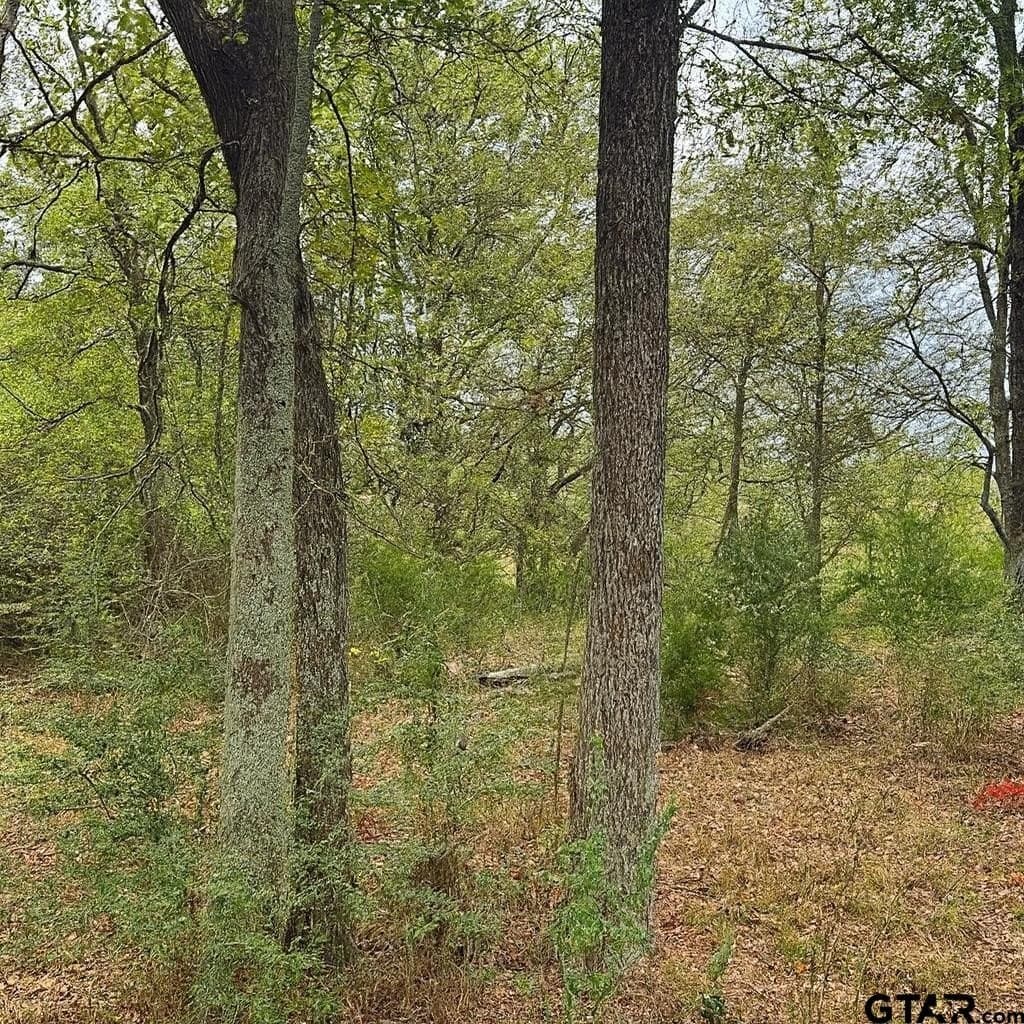 20.83 acres in Van Zandt County - photo 3