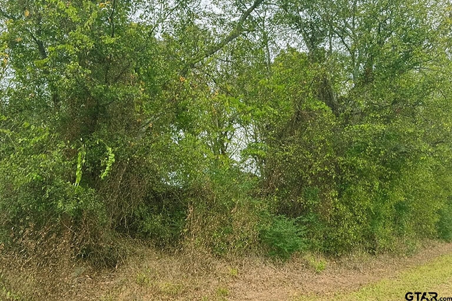 20.83 acres in Van Zandt County - photo 5